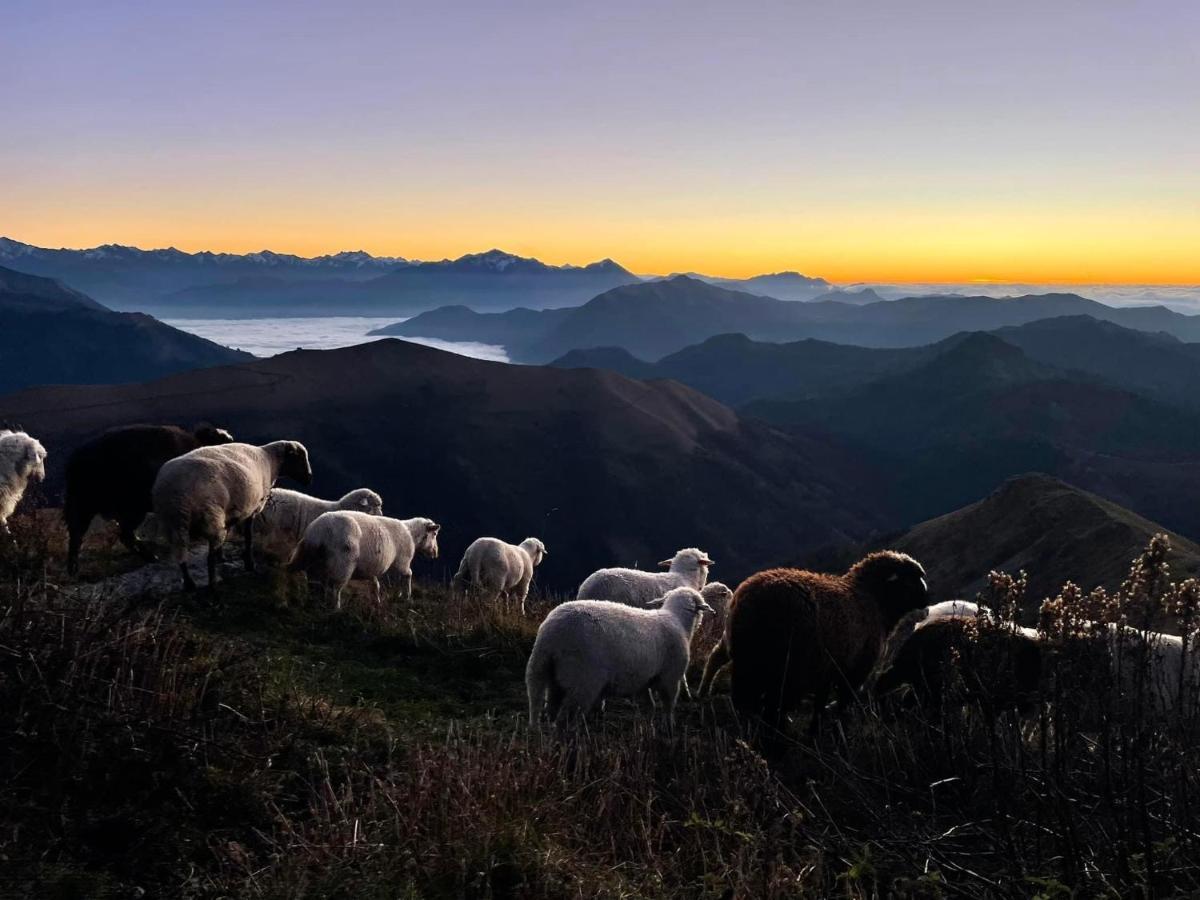 "La Casa Dei Gelsi" - Panorama Lodge Monte Generoso Scudellate 외부 사진