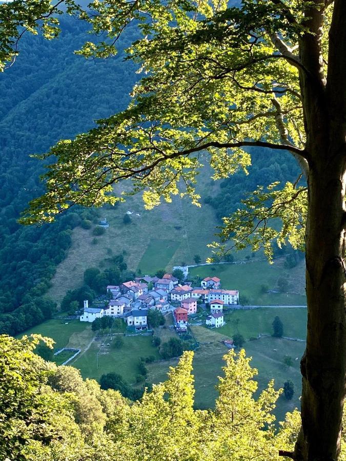 "La Casa Dei Gelsi" - Panorama Lodge Monte Generoso Scudellate 외부 사진